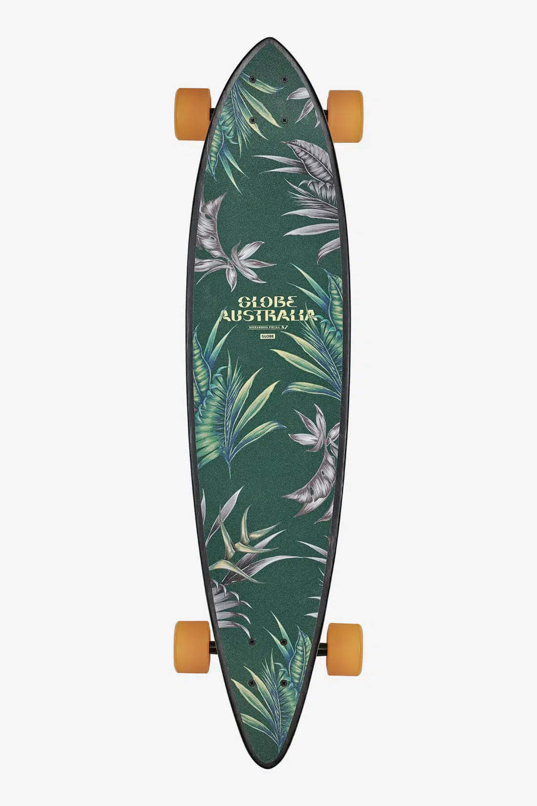 Codone - Kookabura - Longboard 37".