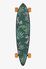 Pintail - Kookabura - Longboard 37"