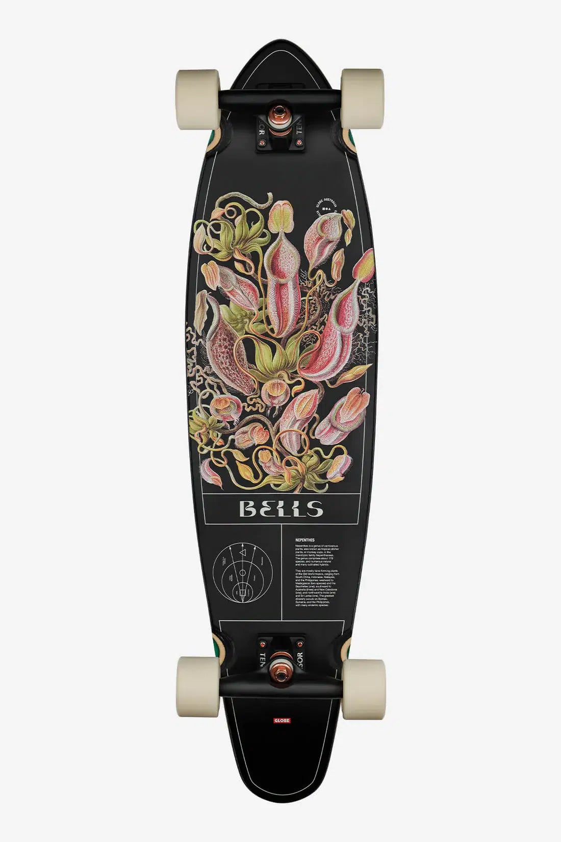 Bells - Pitcher - 34" Longboard