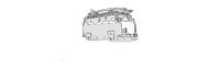 Surfoon