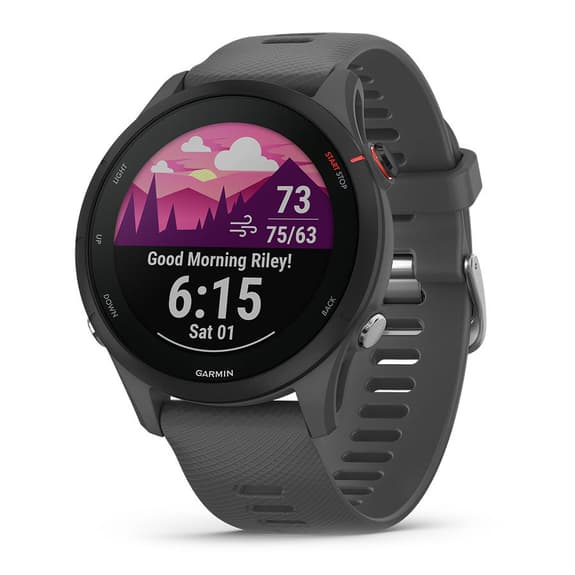 Garmin Forerunner 255 grigio