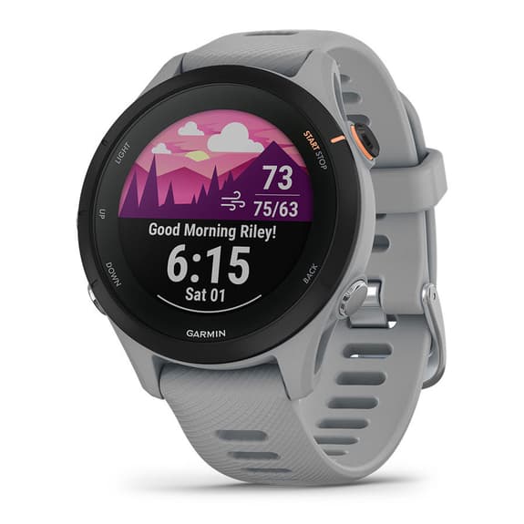 Garmin Forerunner 255S gris